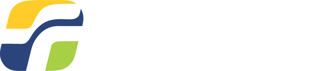 logotipo-branca-auto-eletro-flavio-deitado