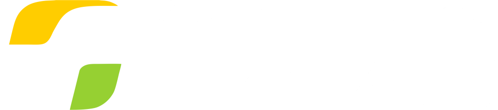 logotipo-branca-auto-eletro-flavio-deitado-1